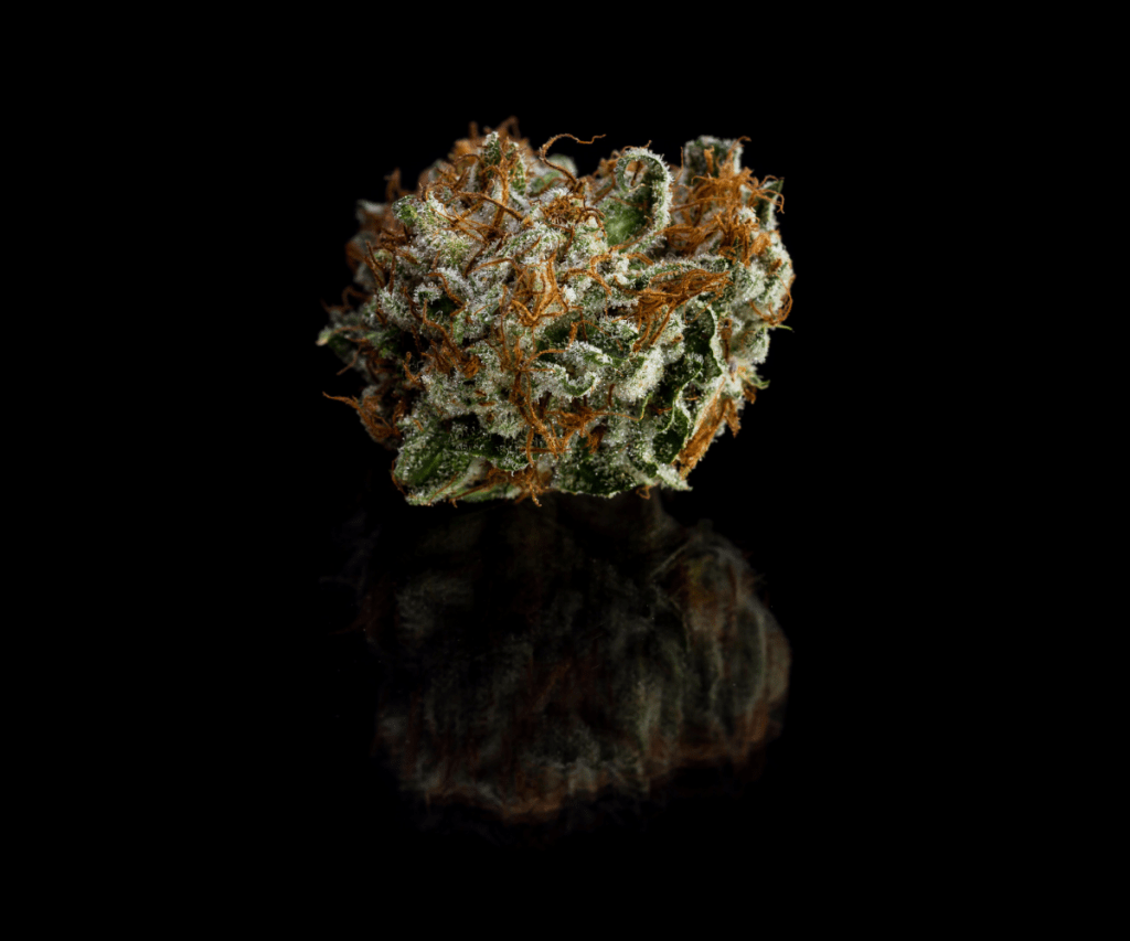 piece of cannabis flower