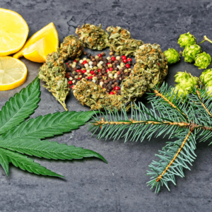 Terpenes in Cannabis (Myrcene, Limonene, Pinene, Caryophyllene)
